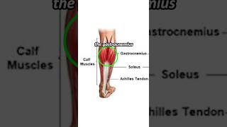 Muscle cramp Only 5 seconds to relieve [upl. by Neelyam]