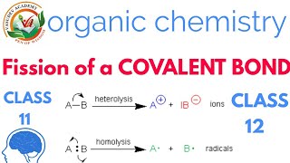 Homolytic and Heterolytic bond cleavage of Covalent bond heterolyticcleavagehomolysisheterolysis [upl. by Nyrb]