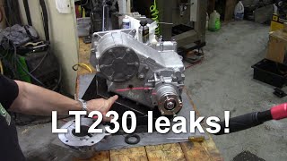 LT230 leaks [upl. by Ransome]