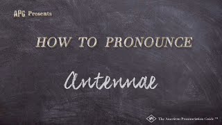 How to Pronounce Antennae Real Life Examples [upl. by Ariella476]