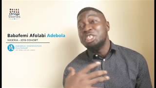 Mandela Washington Fellowship Change Story Testimonials  Part 1 [upl. by Yadnil]