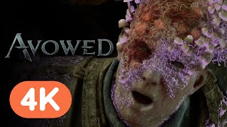 Avowed  Official Trailer 4K  Xbox Showcase 2024 [upl. by Tezzil]