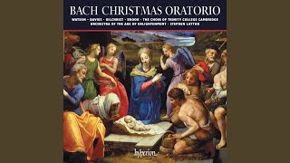 JS Bach Christmas Oratorio BWV 248 Pt 2 No 19 Aria Schlafe mein Liebster geniesse [upl. by Bennie]