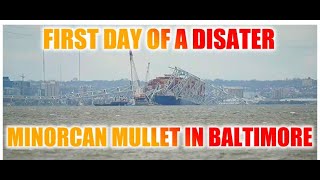 MV Dali and Bridge Collapse Report from Baltimore Environmental Cleanup Begins [upl. by Juline]