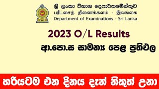 ol results release date  ol results හරියටම එන දිනය  20222023 ol results  SL Academy [upl. by Yennaiv883]