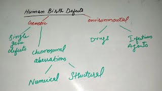 Human Birth DefectsEmbryology First year [upl. by Holcman539]