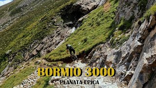 Bormio 3000 MTB  Il ritorno La Montagna in Bicicletta [upl. by Nillek]