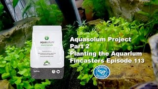 Aquasolum Freshwater Shrimp Aquarium part 2 Fincasters Episode 113 [upl. by Hannahs]