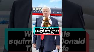 Why did this squirrel save Donald Trumps lifeusa foryou celebrity foryou [upl. by Venetis]