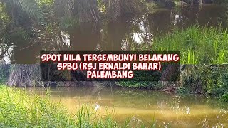 SPOT NILA TERSEMBUNYI BELAKANG SPBU RSJ ERNALDI BAHAR PALEMBANG KM 12 [upl. by Quartas]