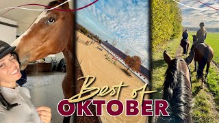 Freispringfails amp neue 🐴  BEST OF OKTOBER 2024 [upl. by Belamy377]