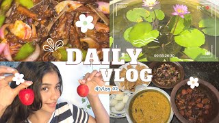 A day in my life 🎀🤍 මගේ තවත් දවසක් ගෙවුණු විදිය 🌿🍃 Sri Lanka 🇱🇰  සිංහල vlog vlog vlog viral [upl. by Hernando]