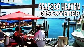 Star Fish Company We Found the Best Seafood in Florida [upl. by Nathanoj423]