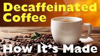 How is Coffee Decaffeinated The Secret Behind Your Cup of Decaf [upl. by Itsur]