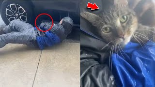 Reporter risks life to save cat from hurricane What happens next will make you cry [upl. by Etnaihc]