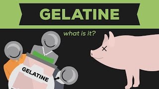 What is Gelatine Gelatin  Jello [upl. by Hynes769]