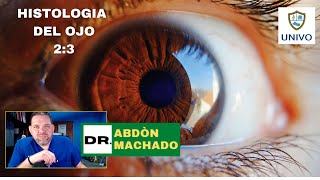 HISTOLOGIA DEL OJO 2 3 [upl. by Annerahs603]