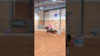 had great runs fypシ゚ horse equestrian horsingaround [upl. by Anilef]