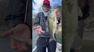 Fishing a MLF TOURNAMENT day 2 [upl. by Guimar]