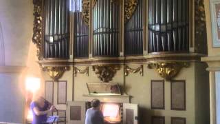 Silbermann Organ at St Georg Church in Rötha Saxony [upl. by Gusba465]