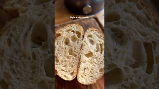 NO DUTCH OVEN NO PROBLEM New brodandtaylor Baking Shell sourdoughbreadrecipequinoashorts [upl. by Aay]