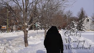 A typical Winter day in Winnipeg Manitoba Canada [upl. by Anelys]