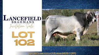 Lot 102 Lancefield S Roman 6626  1 PP [upl. by Ruscio543]