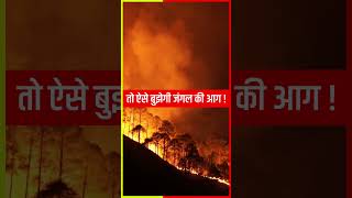 Uttarakhand Government to try artificial rain to douse forest fires [upl. by Antone]