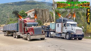 Jamaican Truckers  In Action  S01E17  Hometown  Ewarton Massive  Cane Crop 2024  Official [upl. by Yorztif]