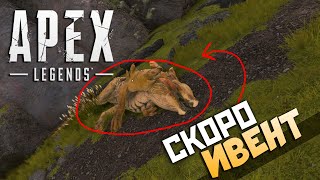 ИВЕНТ Бладхаунда СКОРО  Тизер и Новая Локация Апекс  qadRaT Apex Legends Стрим [upl. by Rodgers165]