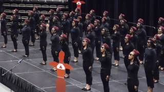 Alabama State University Delta Sigma Theta Probate 2017 [upl. by Hairej996]