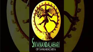 Sivananda Lahari Sloka 81 to 90 [upl. by Uzzial]