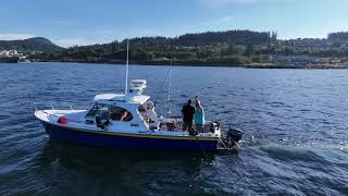 Blue Pearl Coast Adventures  Fishing Charter Powell River [upl. by Nayb]