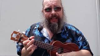 quotShes Not Therequot ukulele cover song [upl. by Remington]