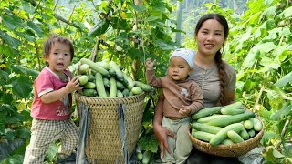 Harvest the melon garden and sell it at the market  go to the lake to trap fish with your children [upl. by Coop519]