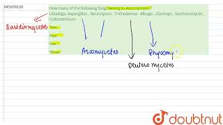 How many of the following fungi belong to Ascomycetes  Ustailago Aspergillus  Neurospora  Tr [upl. by Cantlon]