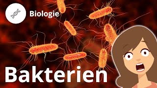 Aufbau einer Bakterienzelle – Biologie Duden Learnattack [upl. by Reid]