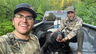 Spring Black Bear with Cheechako Outdoors  Hunting BC [upl. by Staten]