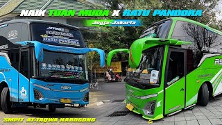 SERU BANGET🤩NAIK MSM TUAN MUDA amp RATU PANDORA DARI JOGJA KE BEKASI DISAMBUT MANIA SEPANJANG JALAN🥳 [upl. by Eneryc]