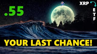 This is YOUR Last Chance for a LOW XRP Before 2025 ETF xrp [upl. by Oiled]