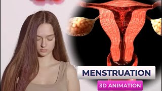 Menstrual Cycle Animation What Every Woman Should Known From Period to Ovulation [upl. by Margy]