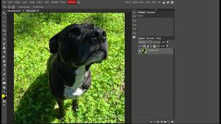 How to Edit Photos in Photopea [upl. by Vanhomrigh]