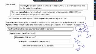 chapter  15  body fluids and circulation  NEET 2025 NCERT based [upl. by Nowahs]