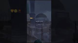 Nahi hai koi duniya mein hamara ya Rasool Allahheart touching voice❤️WhatsApp status [upl. by Marijane]