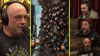 New Yorks GROSS Lanternfly Infestation Issue  Joe Rogan amp Legion Of Skanks [upl. by Magdaia]