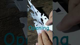 Opening paper cuts Paper Curtains Cutting [upl. by Dunson]