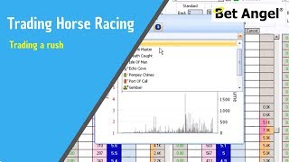 Betfair trading  Peter Webb  Bet Angel trading software  Trading a rush [upl. by Descombes772]