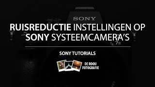 Ruisreductie instellingen op de Sony systeemcameras oa Sony A7R IIIA7 IIIA6500A6000A5000 [upl. by Adlen]