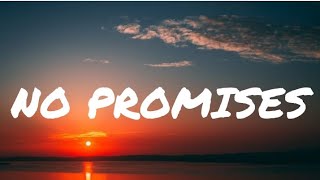 Shayne ward  No promises lyrics [upl. by Linnette]