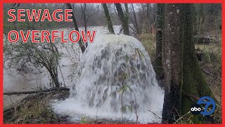 Raw sewage overflowing in Gulpha Creek [upl. by Jerrie]